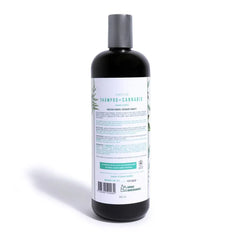 Shampoo De Romero Para Cabello Graso La Receta
