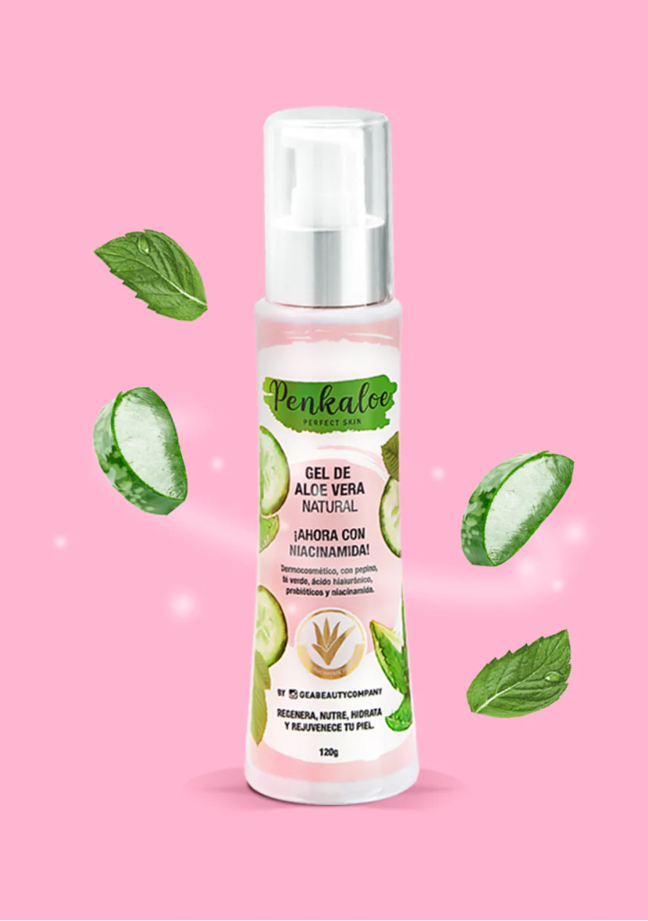 Gel De Aloe Vera Penkaloe 120 g