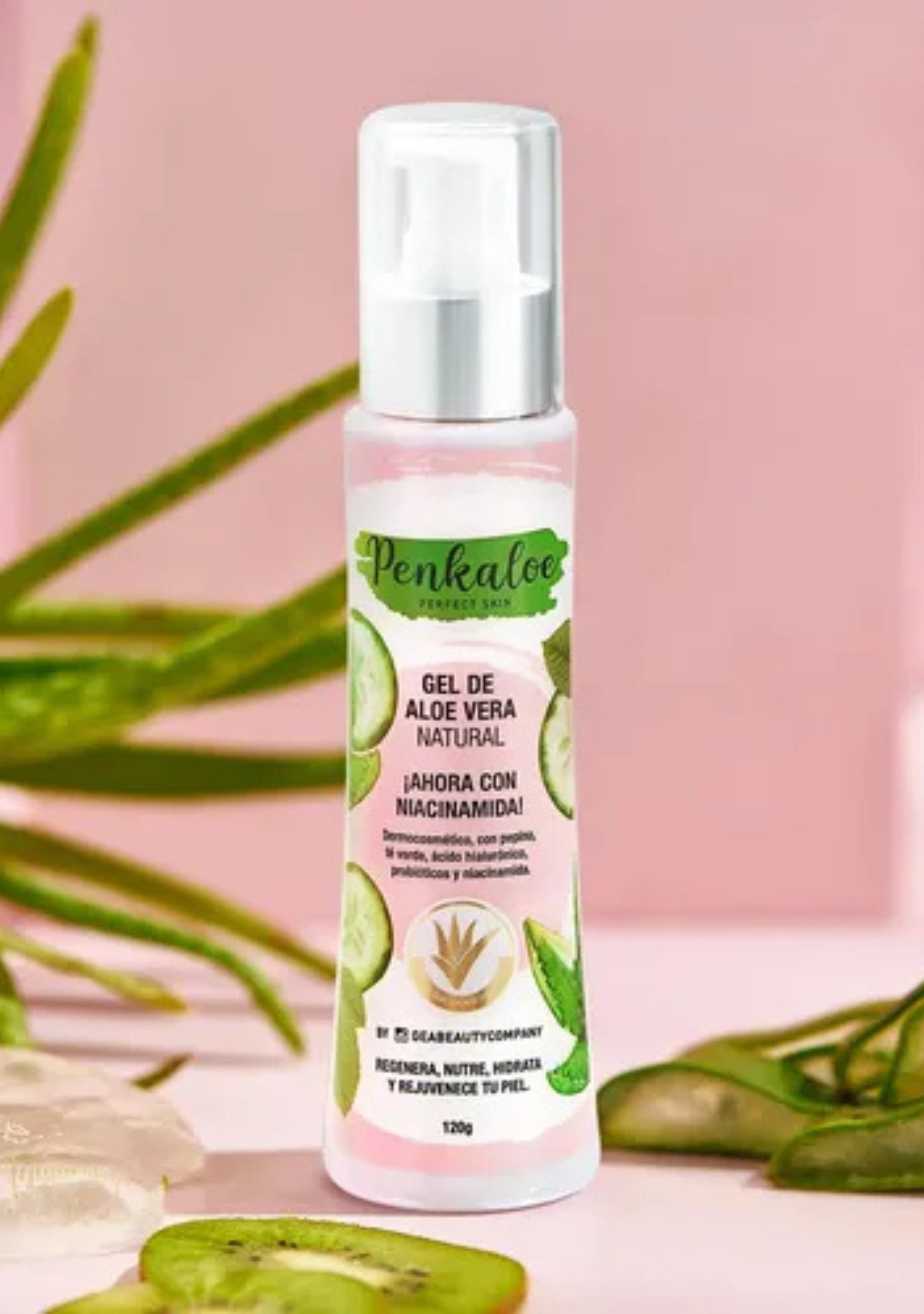 Gel De Aloe Vera Penkaloe 120 g