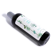 Shampoo De Romero Para Cabello Graso La Receta